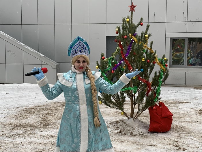 Встречаем Новый год 2020 г.